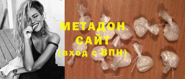 прущие грибы Белокуриха