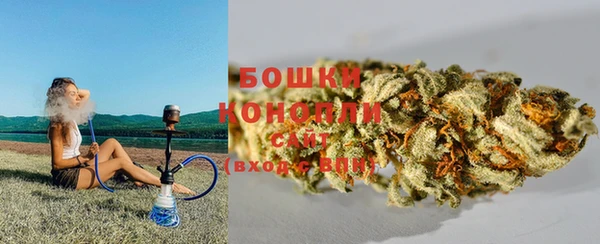 прущие грибы Белокуриха
