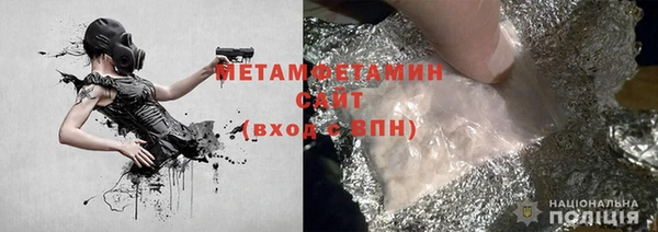 прущие грибы Белокуриха