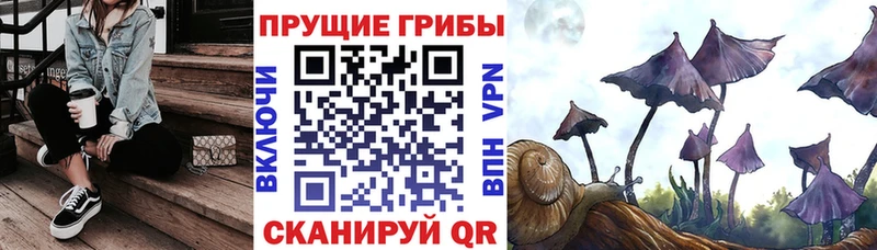 Галлюциногенные грибы ЛСД  Кологрив 